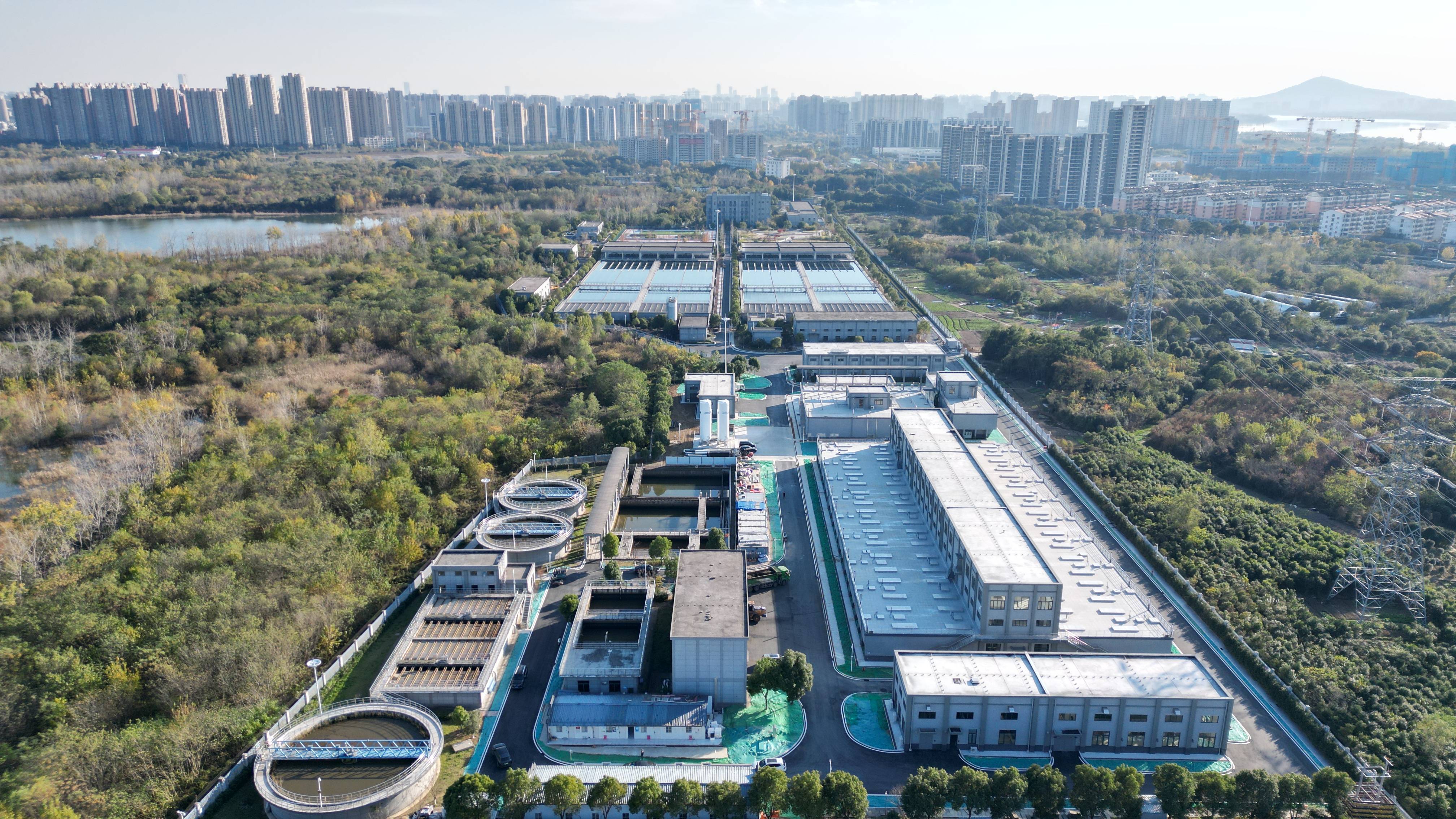 焦作市合肥专业企业价值增长(合肥市重点企业产业目录)