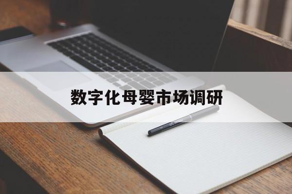 焦作市数字化母婴市场调研(数字化母婴市场调研报告)